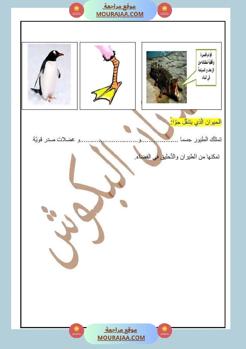 سنة رابعة ايقاظ علمي ثلاثي 1 مع الاصلاح صفحة 5