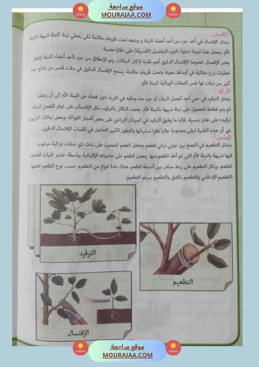 بحوث ايقاظ علمي سنة رابعة