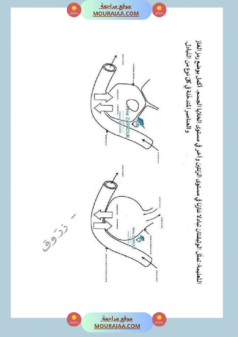 سنة سادسة إيقاظ علمي وحدة الهواء و التنفس درس التبادل الغازي في مستوى الرئتين صفحة 5
