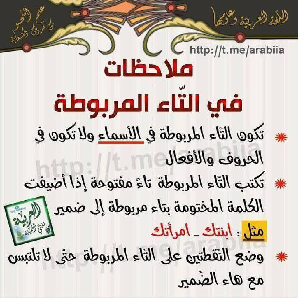 كيف نفرق بين التاء المفتوحة والمربوطة شرح مفصل مع تمارين 