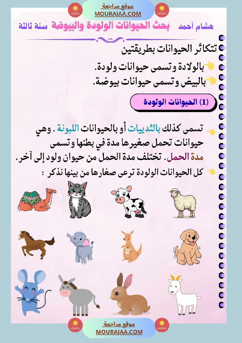 ايقاظ علمي السنة الثالثة