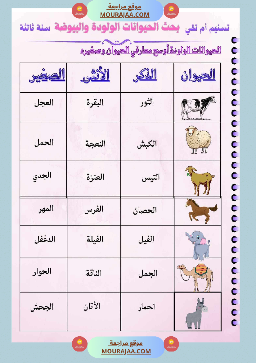 ايقاظ علمي السنة الثالثة