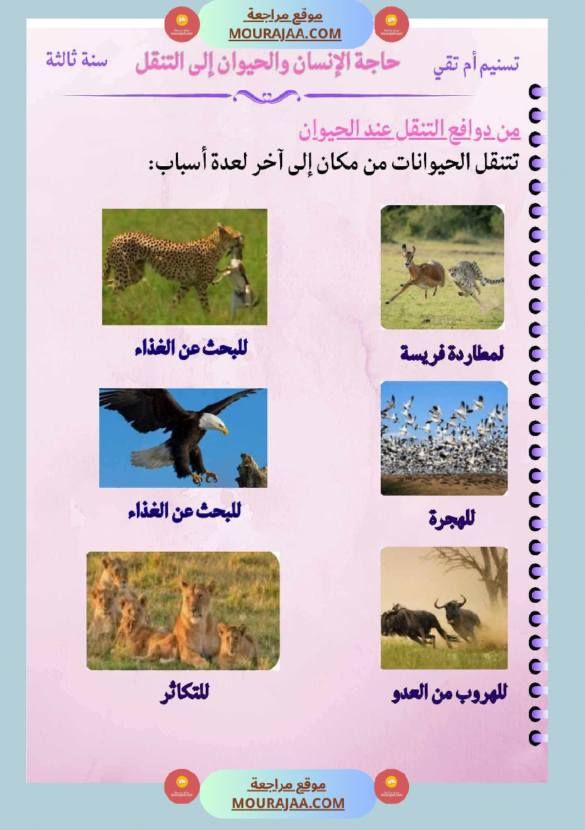 ايقاظ علمي السنة الثالثة