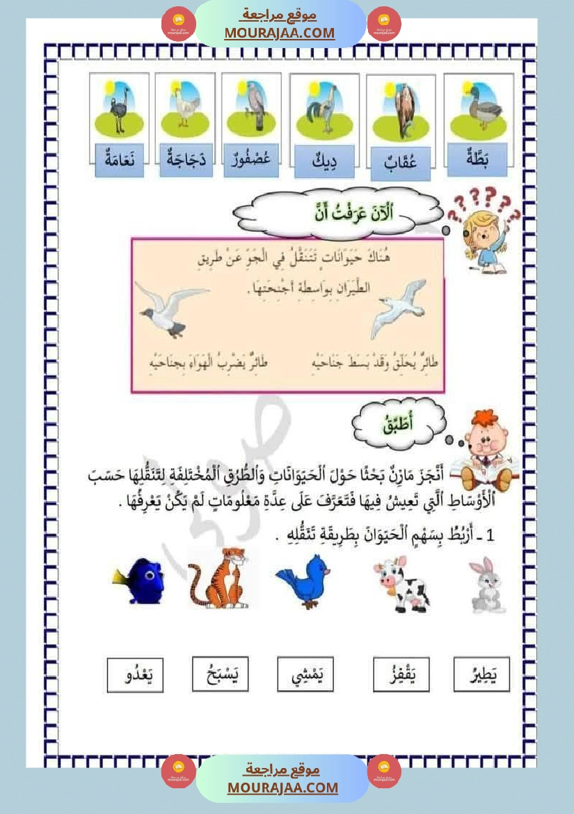 محور التنقل عند الحيوانات السنة الثالثة صفحة 13