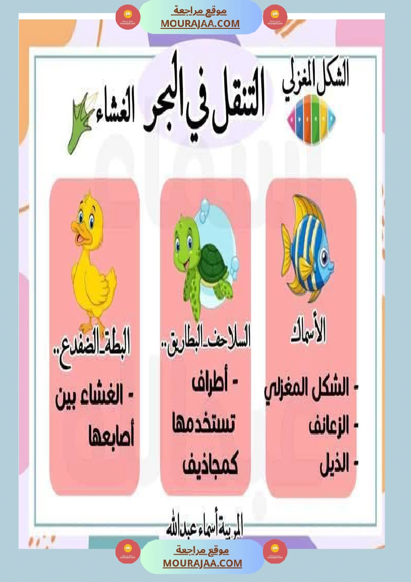 محور التنقل عند الحيوانات السنة الثالثة صفحة 6