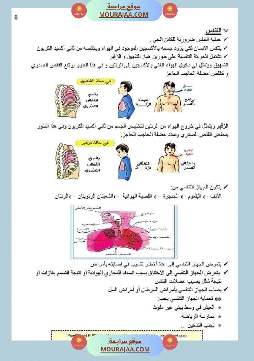ملخص الايقاظ العلمي للسنة الخامسة صفحة 15