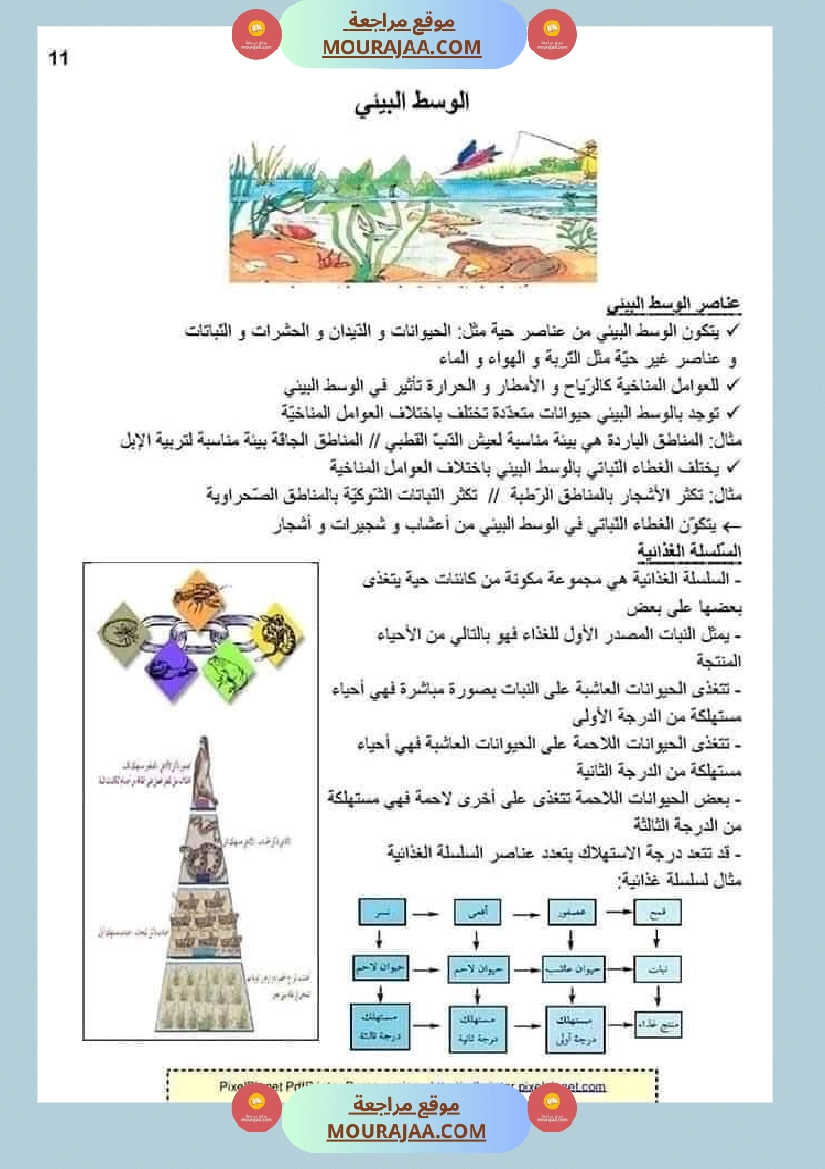 ملخص الايقاظ العلمي للسنة الخامسة صفحة 16