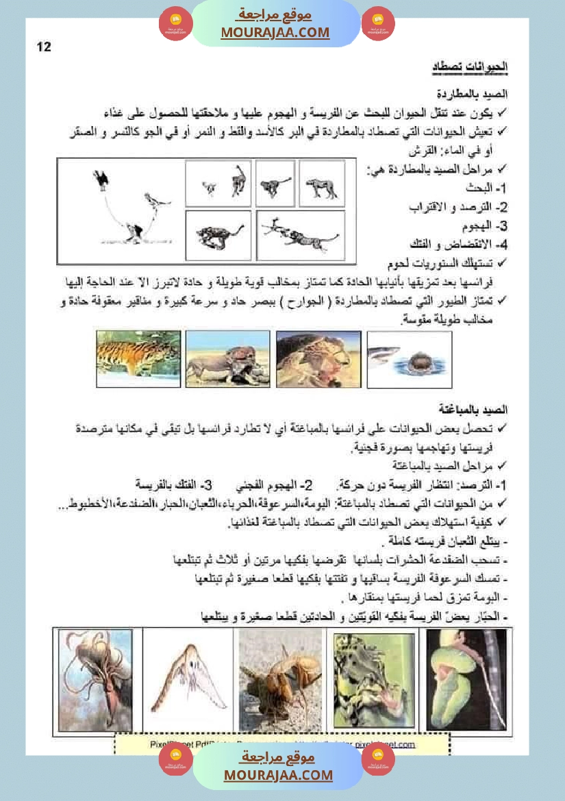 ملخص الايقاظ العلمي للسنة الخامسة صفحة 23
