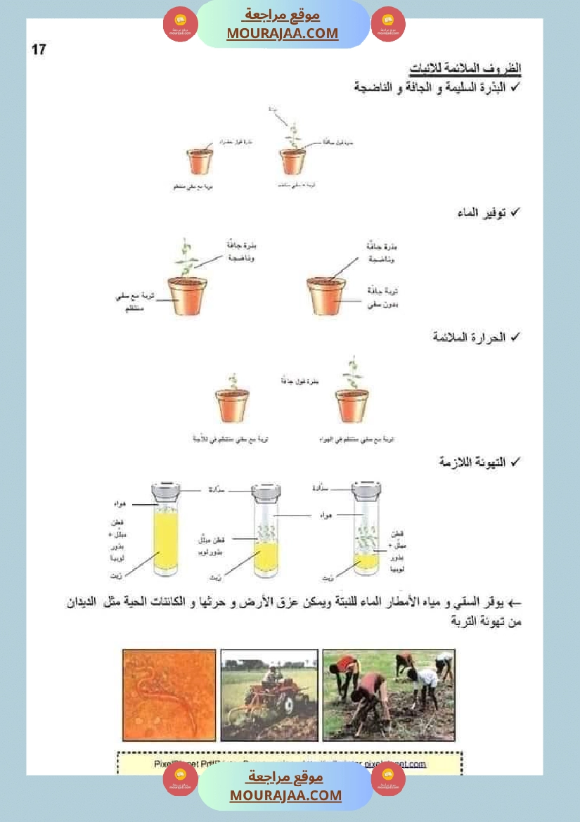 ملخص الايقاظ العلمي للسنة الخامسة صفحة 4