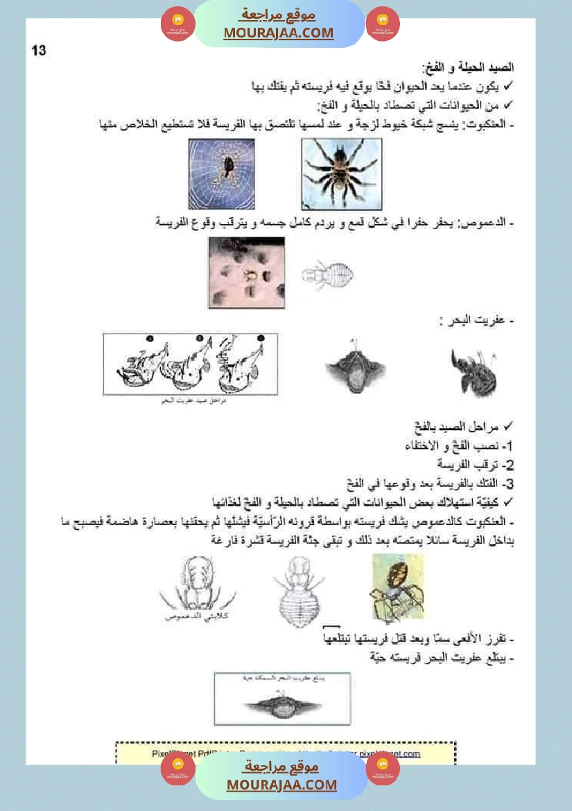 ملخص الايقاظ العلمي للسنة الخامسة صفحة 5