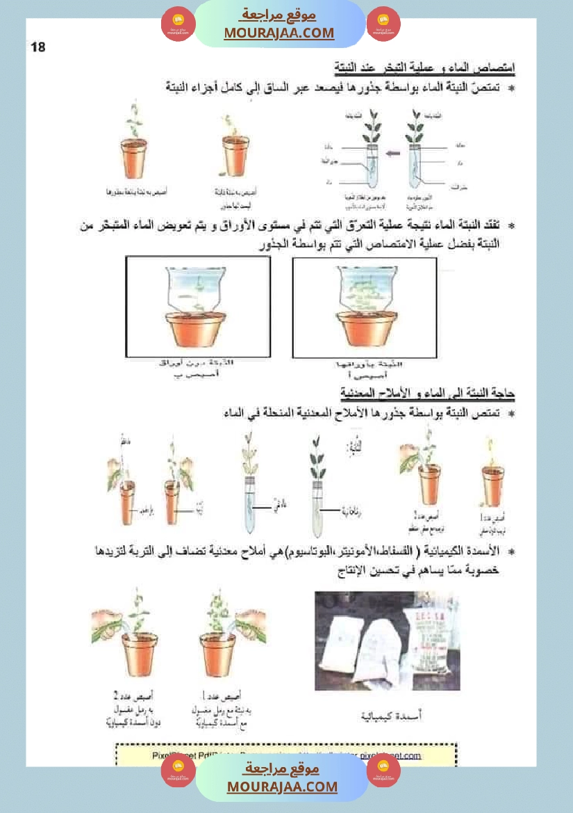 ملخص الايقاظ العلمي للسنة الخامسة صفحة 7