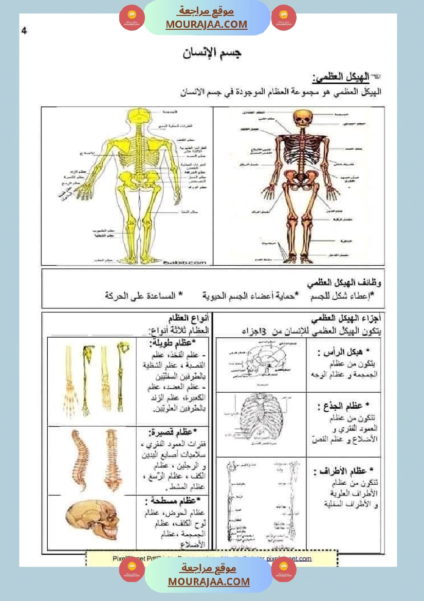 ملخص الايقاظ العلمي للسنة الخامسة صفحة 10