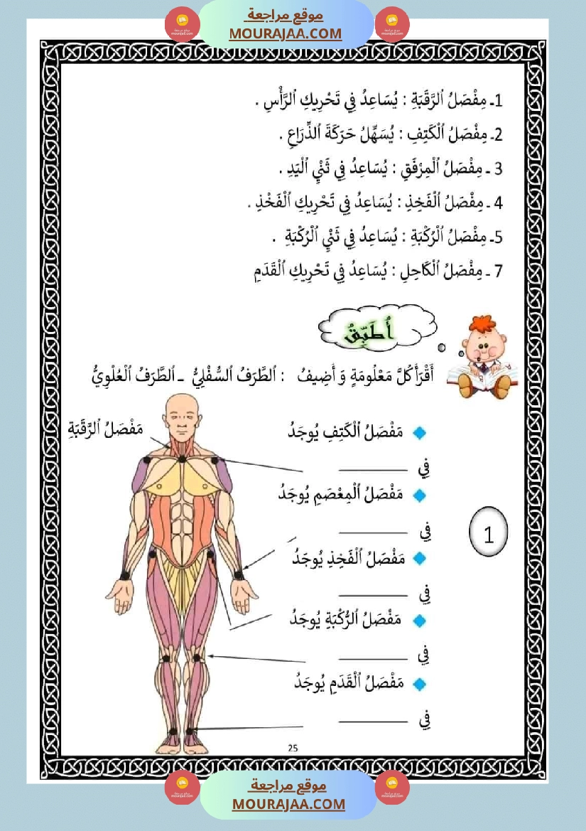 سنة ثانية ايقاظ علمي المفاصل و دورها في الحركة صفحة 3