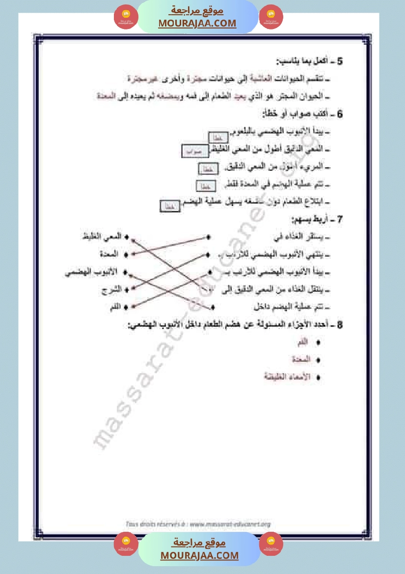 الجهاز الهضمي للسنة الرابعة