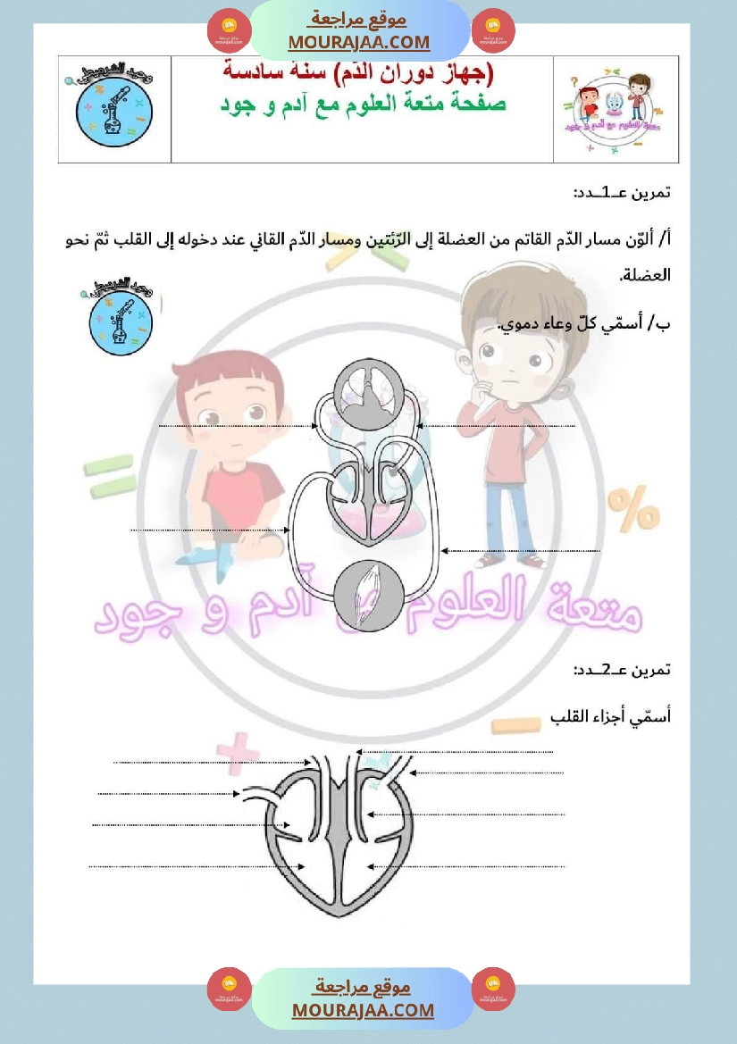 سنة سادسة ايقاظ علمي