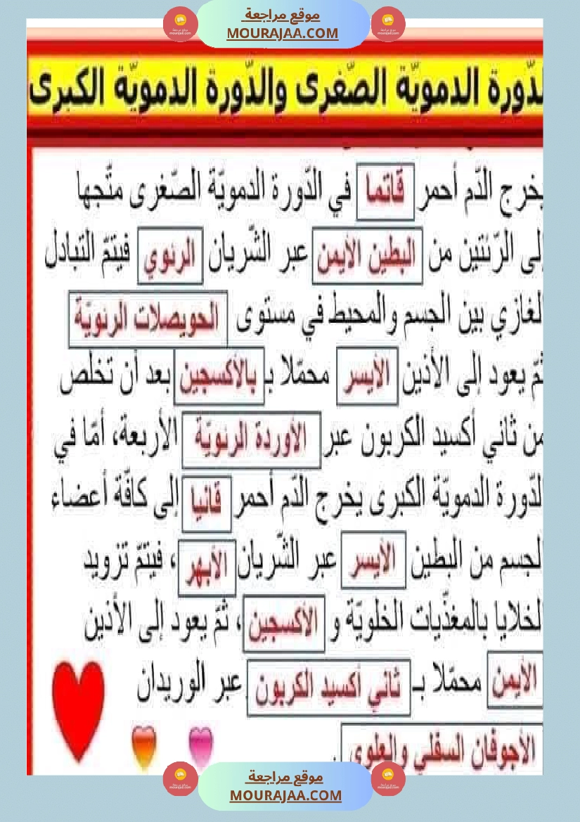 سنة سادسة ايقاظ علمي ثلاثي 2 صفحة 17