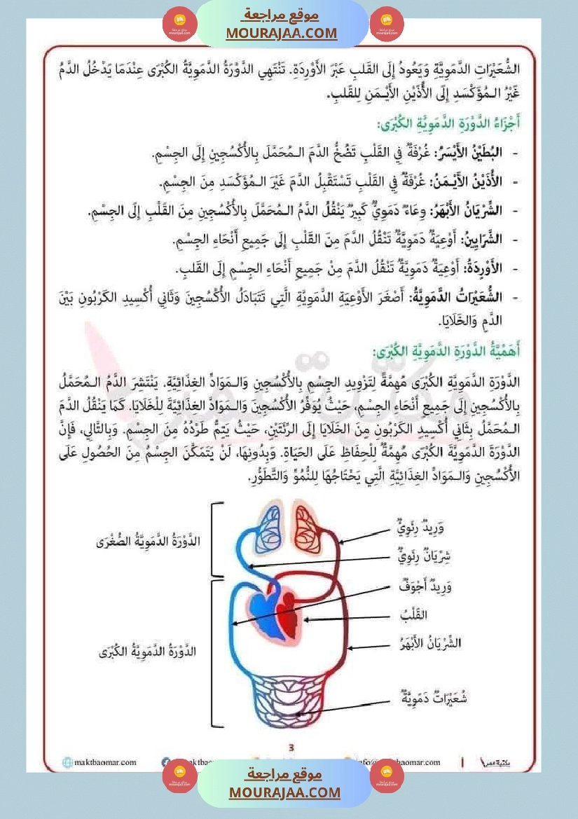سنة سادسة ايقاظ علمي ثلاثي 2 صفحة 26
