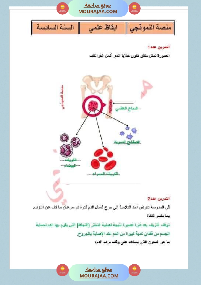 سنة سادسة ايقاظ علمي ثلاثي 2 صفحة 5