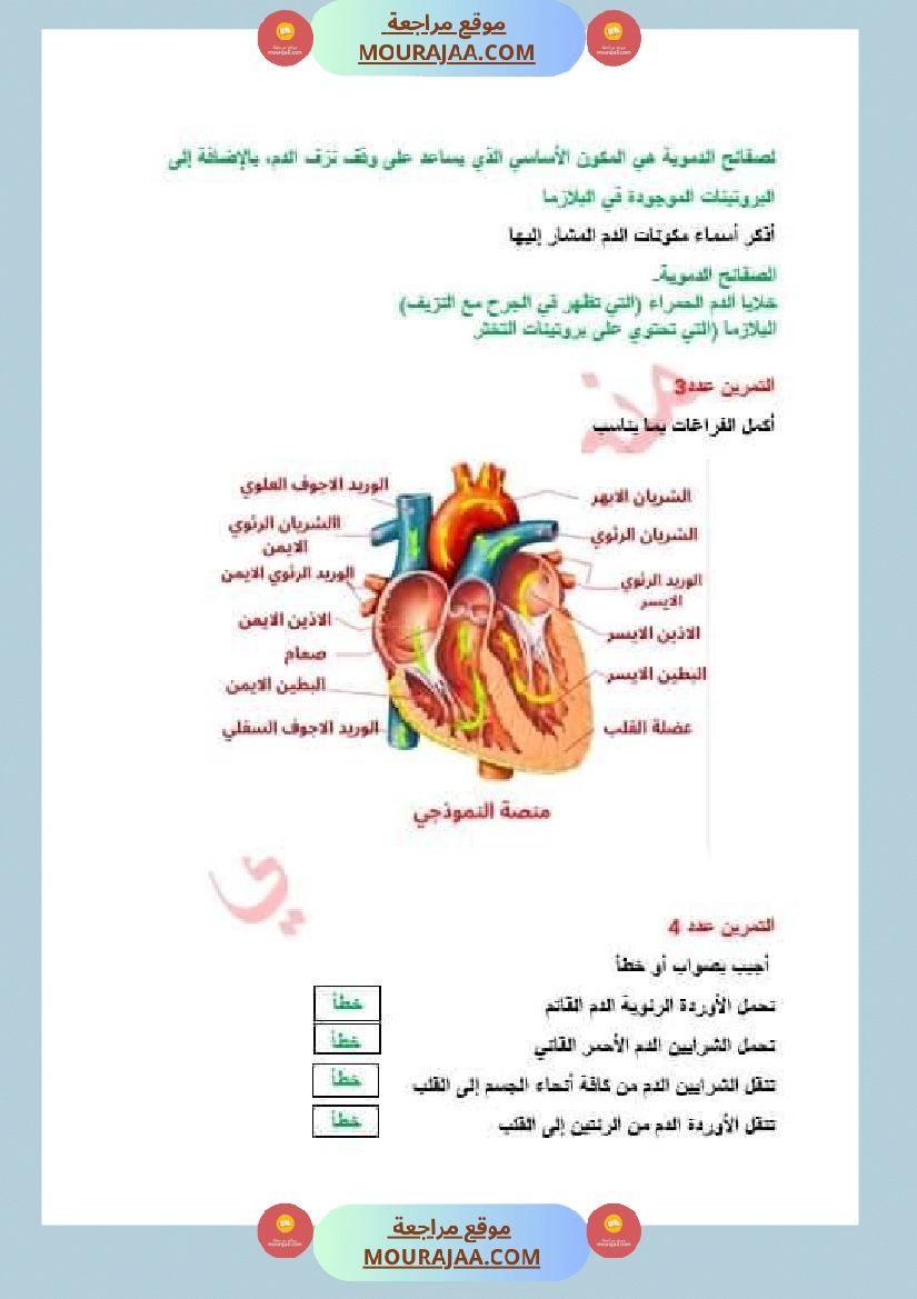سنة سادسة ايقاظ علمي ثلاثي 2 صفحة 6