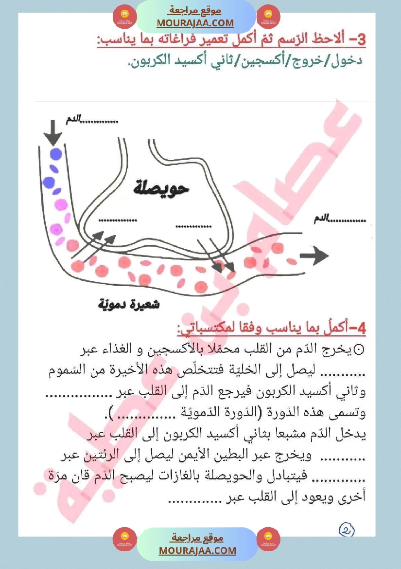 سنة سادسة ايقاظ علمي ثلاثي 2 جهاز دوران الدم صفحة 6