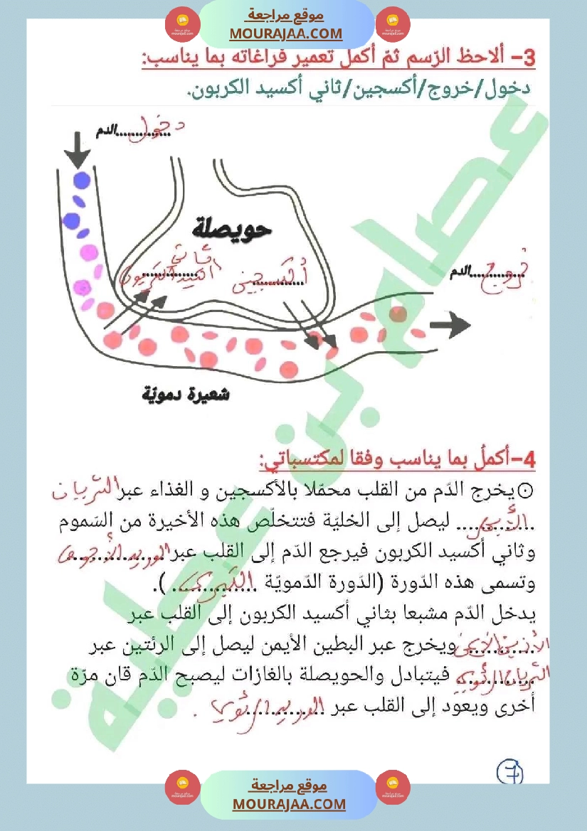 سنة سادسة ايقاظ علمي ثلاثي 2 جهاز دوران الدم صفحة 8