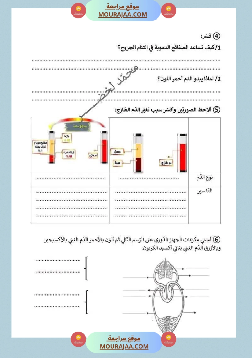 سنة سادسة ايقاظ علمي ثلاثي 2 مكونات الدم و وظيفة