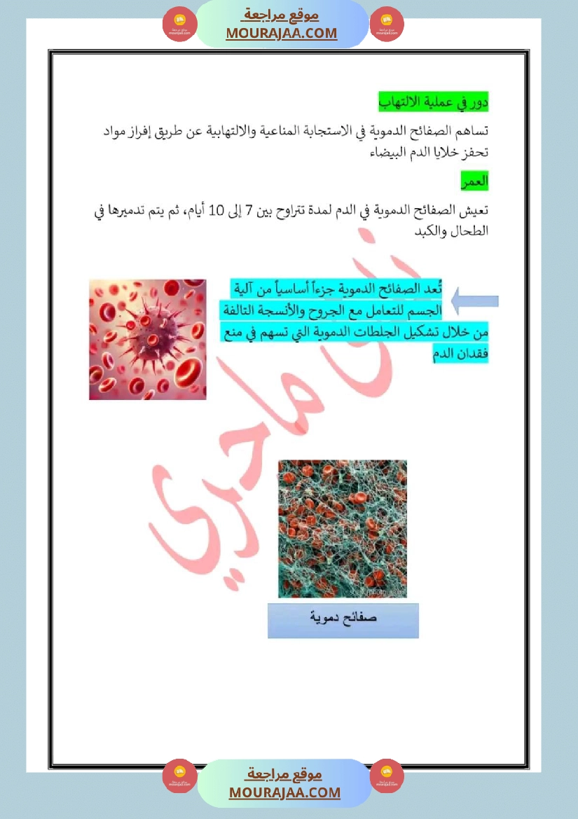 سنة سادسة تلخيص في مادة الايقاظ العلمي ثلاثي 2 صفحة 2