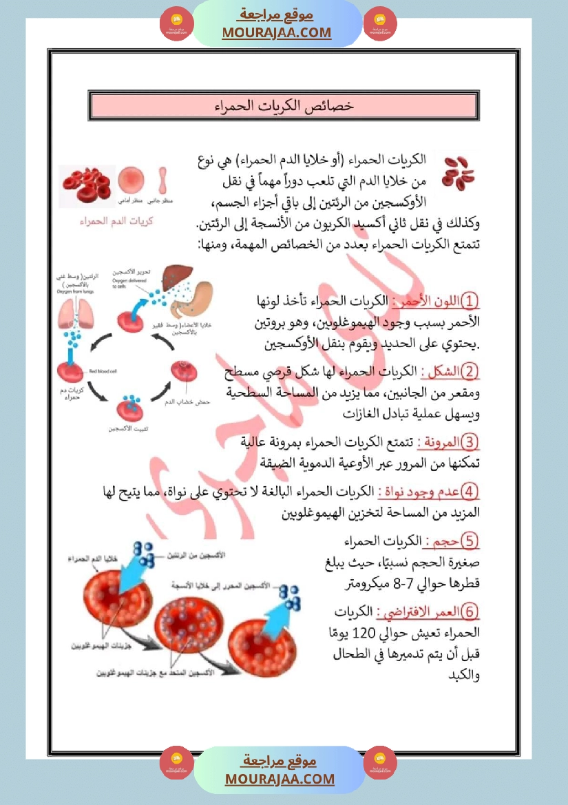 سنة سادسة تلخيص في مادة الايقاظ العلمي ثلاثي 2 صفحة 5