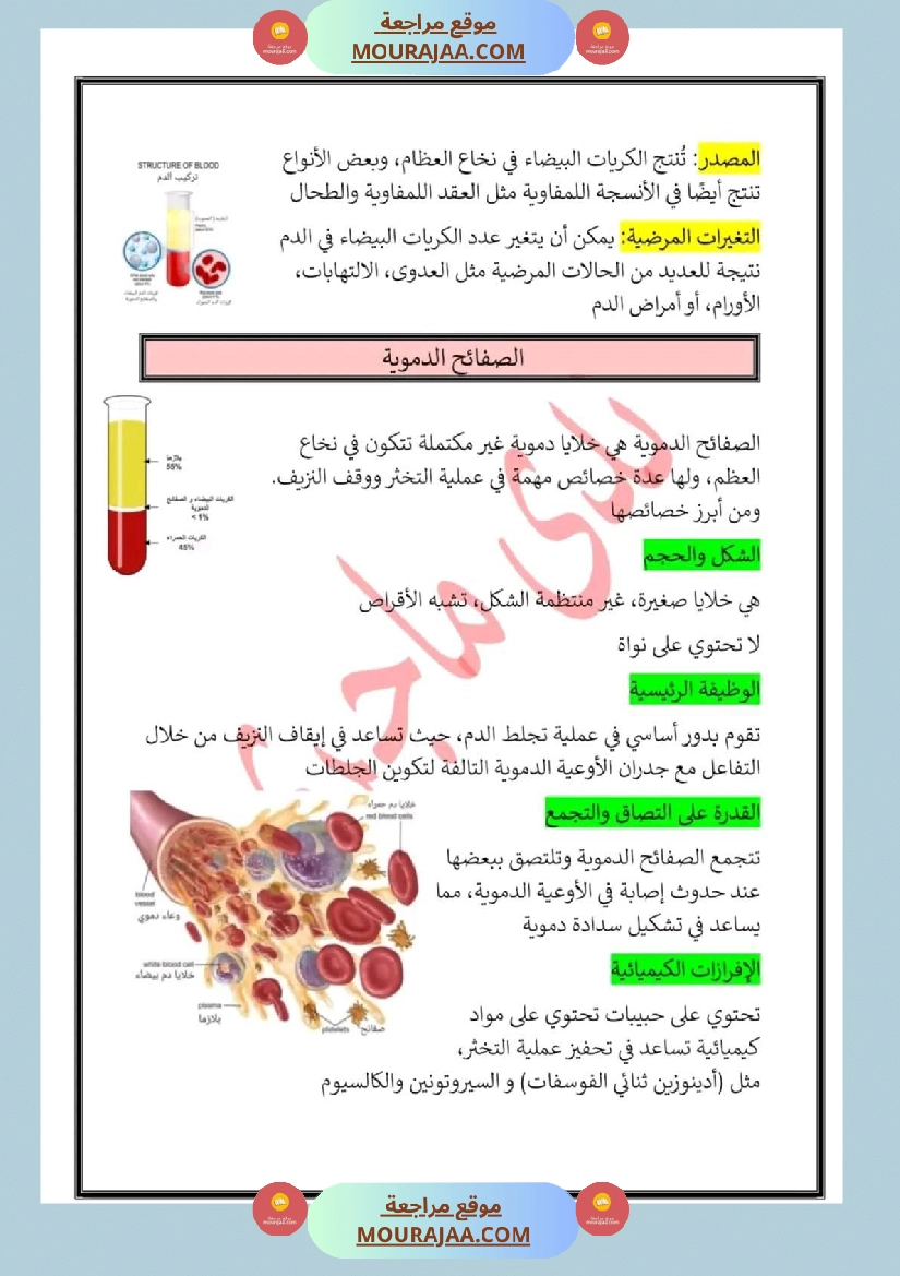 سنة سادسة تلخيص في مادة الايقاظ العلمي ثلاثي 2 صفحة 8