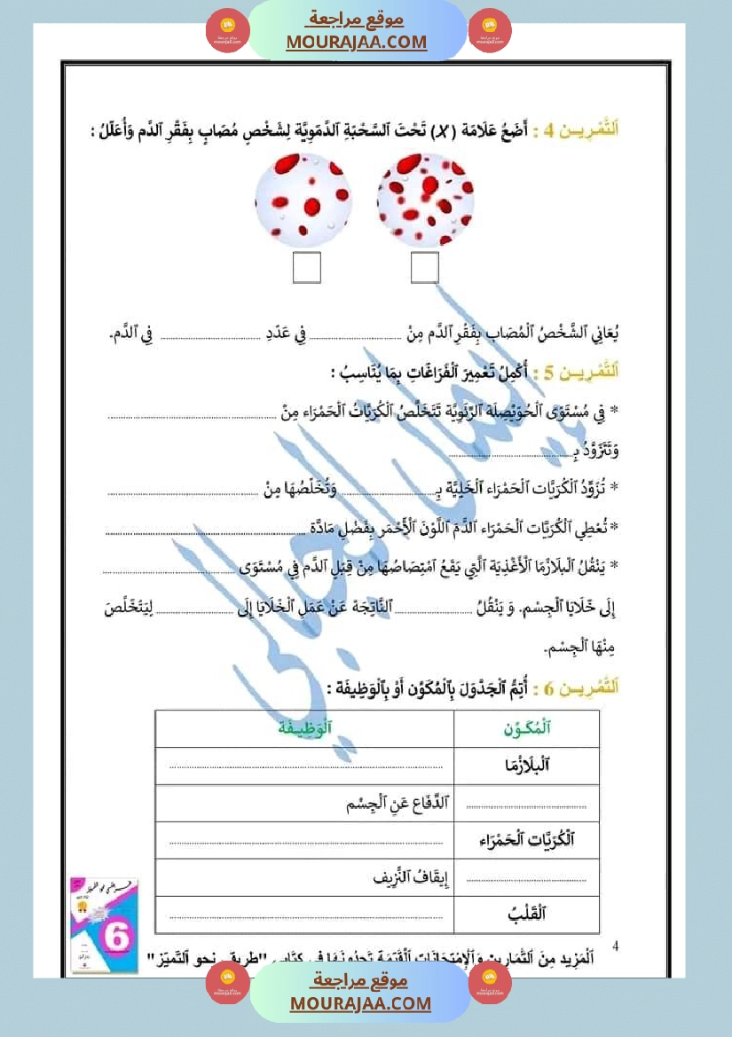 مراجعة الإيقاظ العلمي لتلاميذ سنة السادسة صفحة 4
