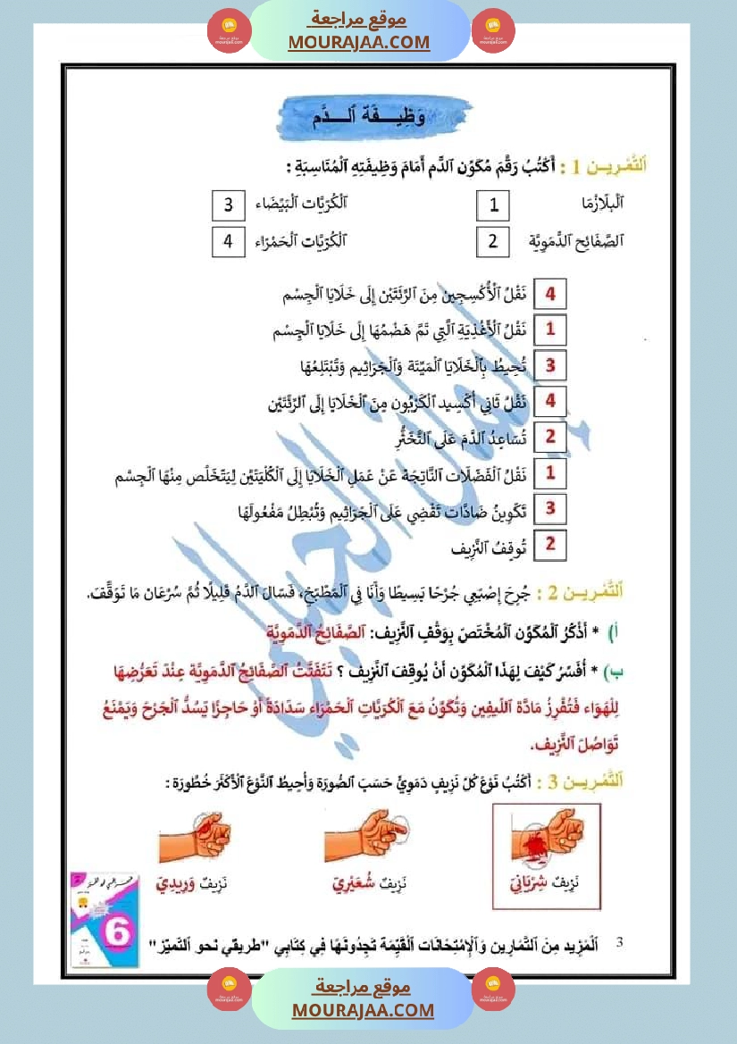 مراجعة الإيقاظ العلمي لتلاميذ سنة السادسة صفحة 9