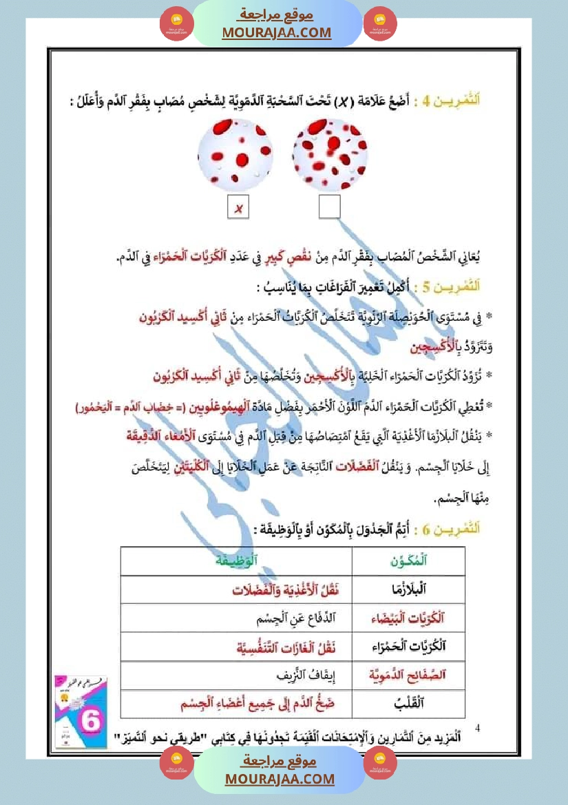 مراجعة الإيقاظ العلمي لتلاميذ سنة السادسة صفحة 10