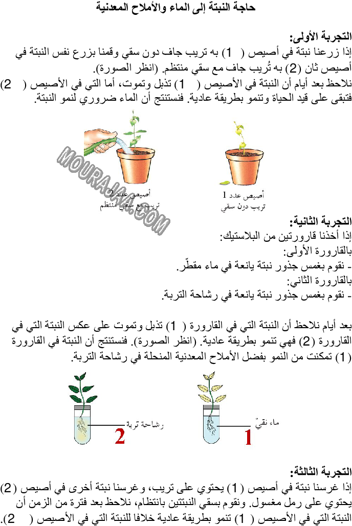حاجة النبتة إلى الماء والأملاح المعدنية صفحة 1