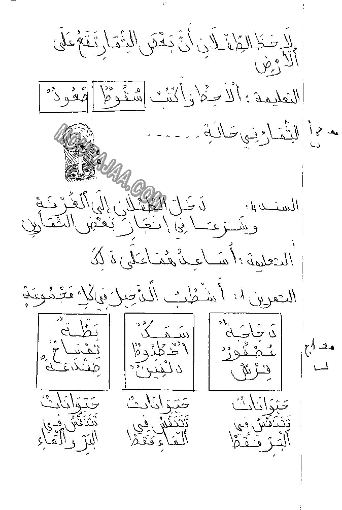 امتحان ايقاظ علمي سنة ثانية ثلاثي الثالث  صفحة 3