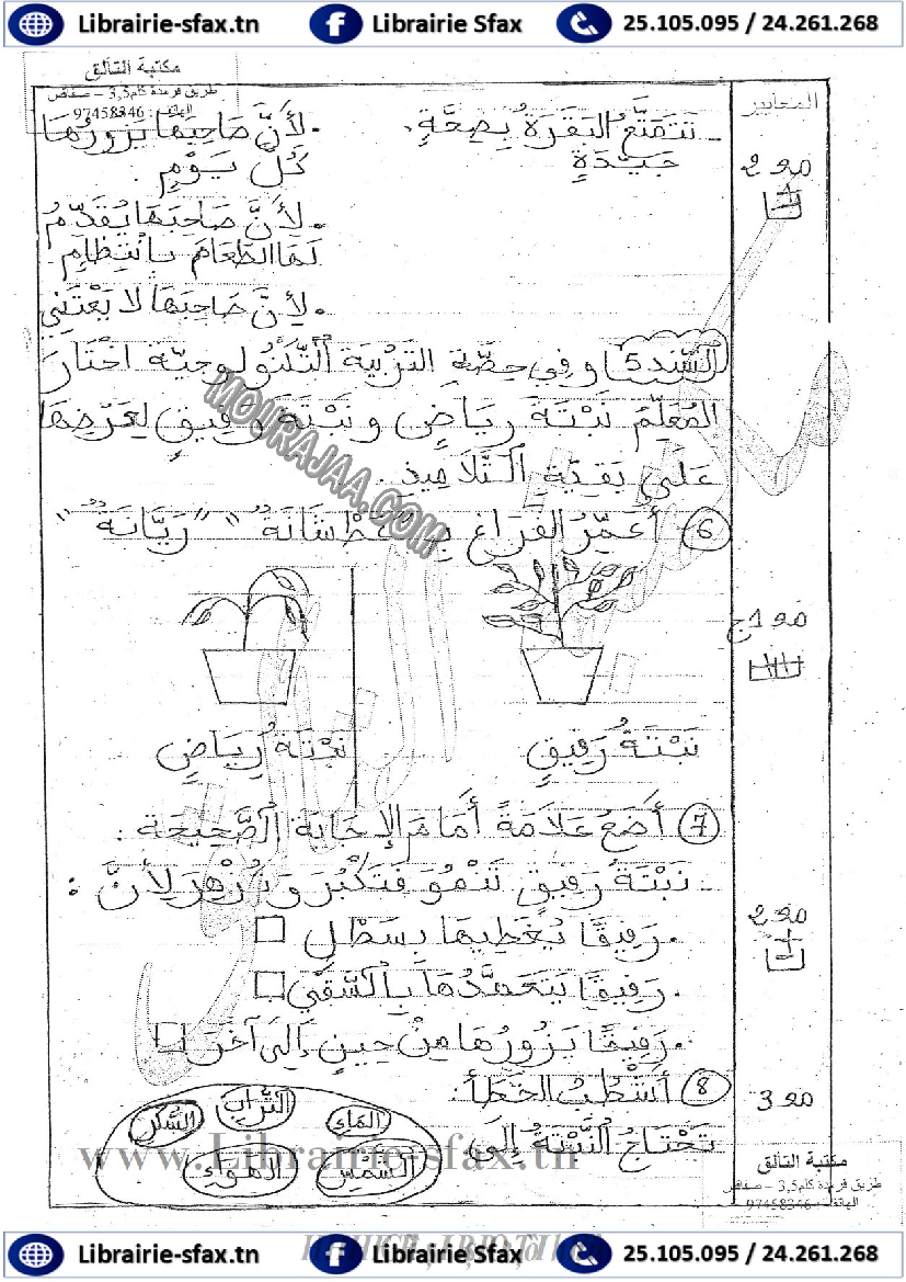 امتحان ايقاظ علمي سنة اولى ثلاثي الثاني 504 صفحة 3