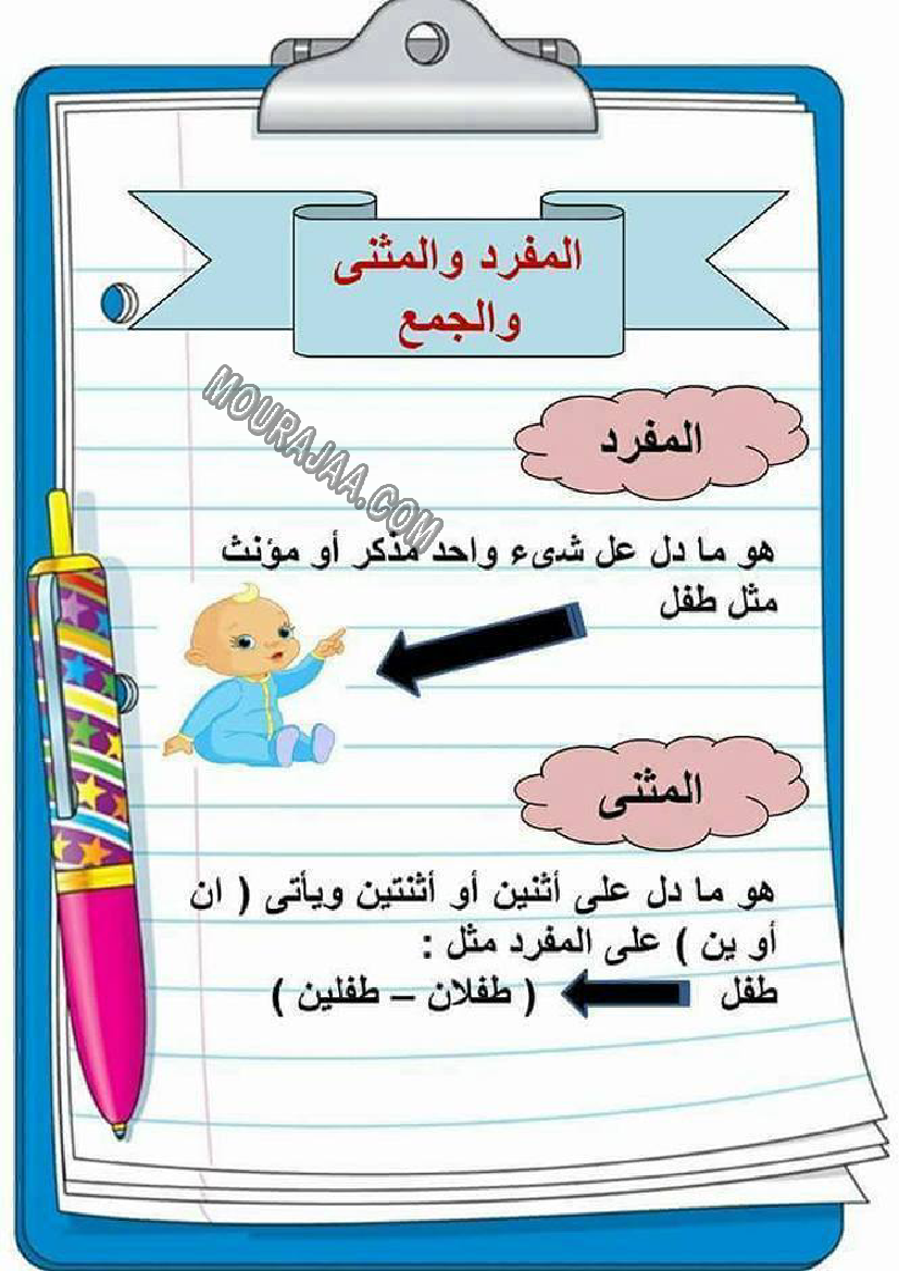 المفرد و المثنى و الجمع صفحة 2