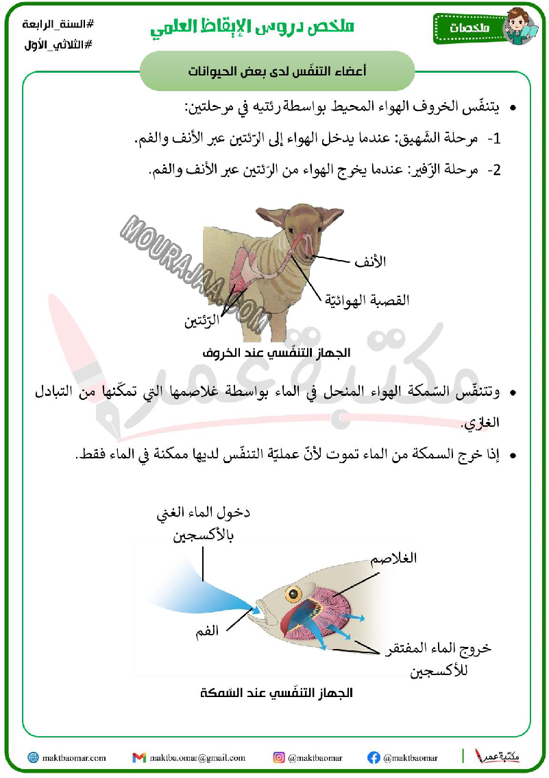 ملخص دروس الايقاظ العلمي سنة الرابعة الثلاثي الاول 2022 صفحة 5