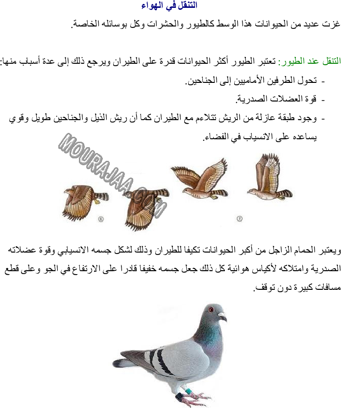 أنماط التنقل عند الحيوان - تكيف العضو مع نمط التنقل صفحة 3