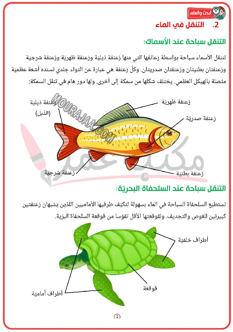 أنماط التنقل عند الحيوان تكيّف أعضاء التنقل مع الوسط 2022 صفحة 2