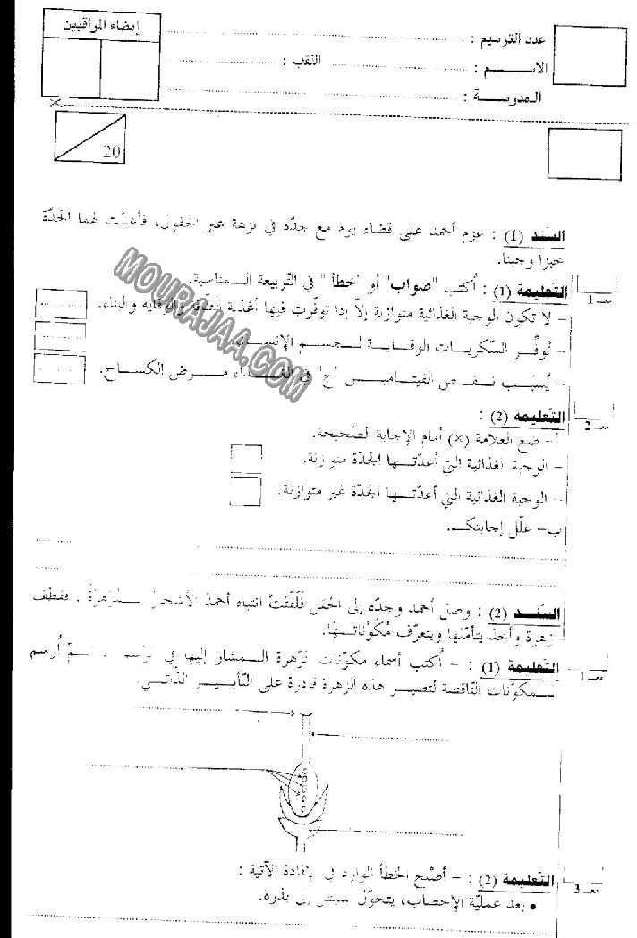 امتحان ايقاظ علمي سنة سادسة الثلاثي الثالث  صفحة 2