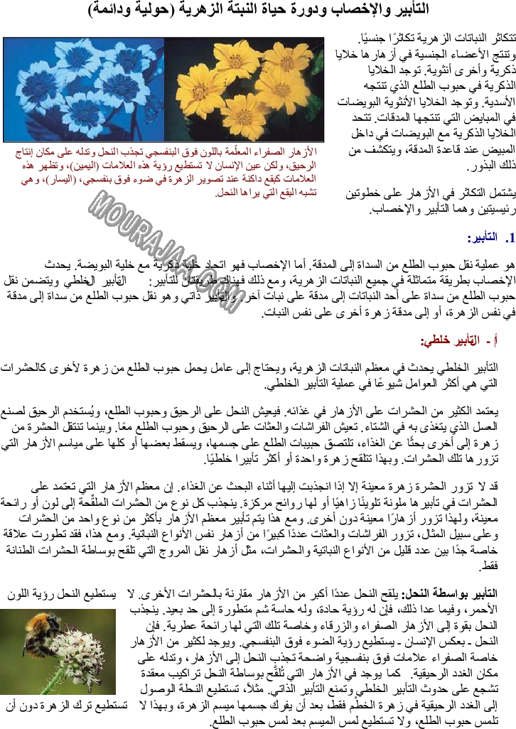 التأبير والإخصاب ودورة حياة النبتة الزهرية (حولية ودائمة)
