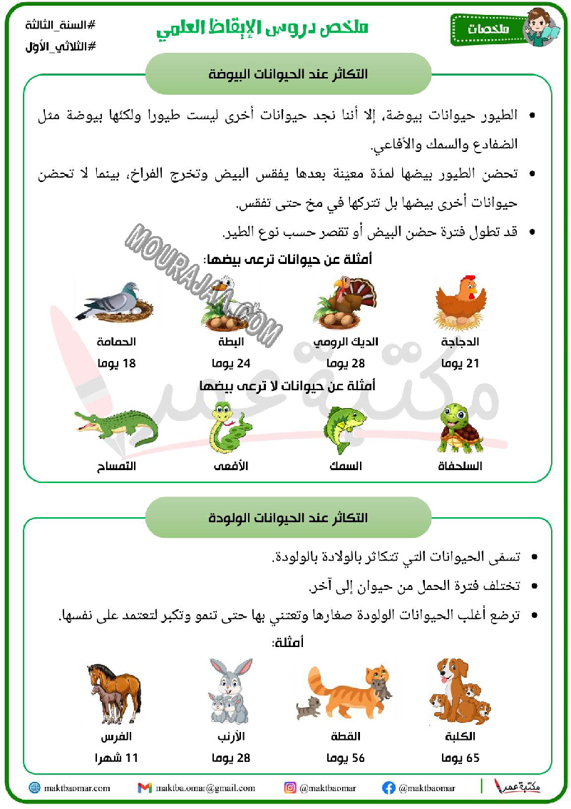 ملخص دروس الايقاظ العلمي سنة الثالثة الثلاثي الاول 2022 صفحة 3