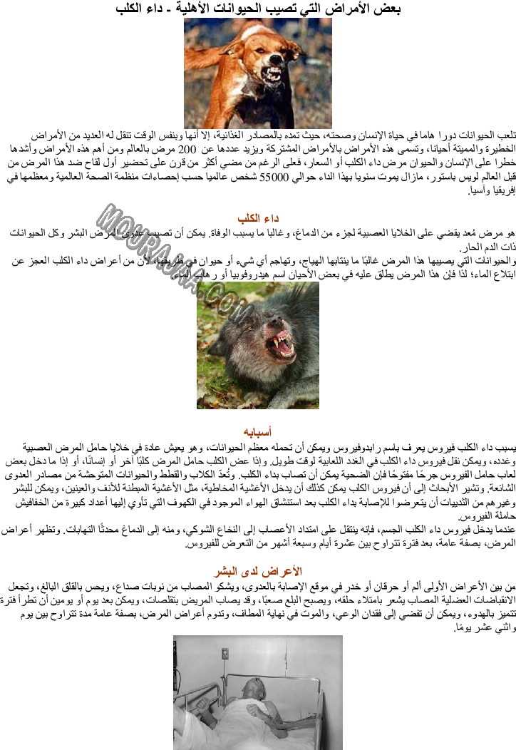 بعض الأمراض التي تصيب الحيوانات الأهلية - داء الكلب صفحة 1
