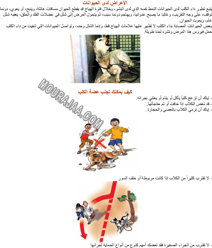 بعض الأمراض التي تصيب الحيوانات الأهلية - داء الكلب صفحة 2