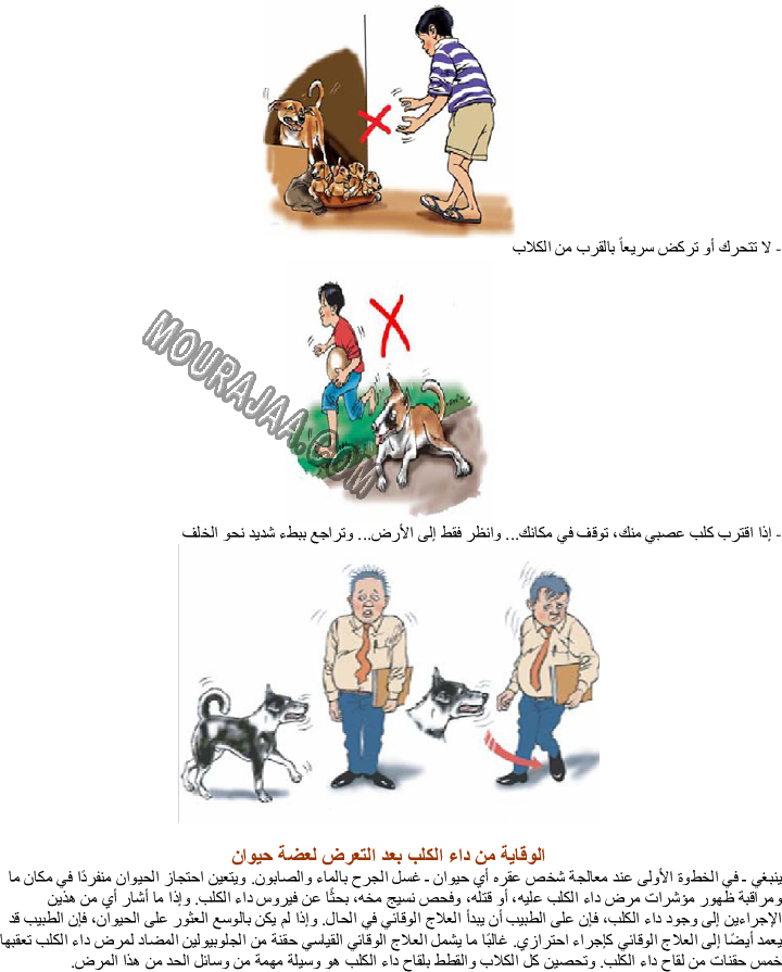 بعض الأمراض التي تصيب الحيوانات الأهلية - داء الكلب صفحة 3