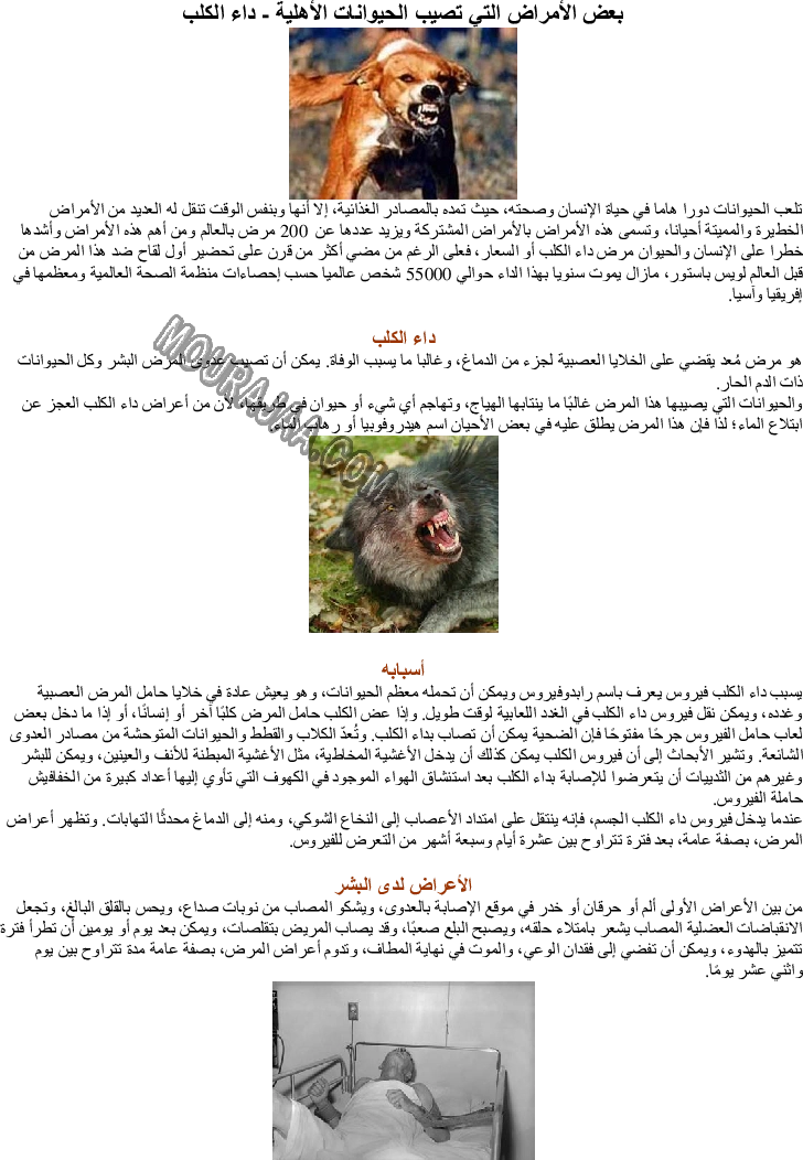 بعض الأمراض التي تصيب الحيوانات الأهلية - داء الكلب