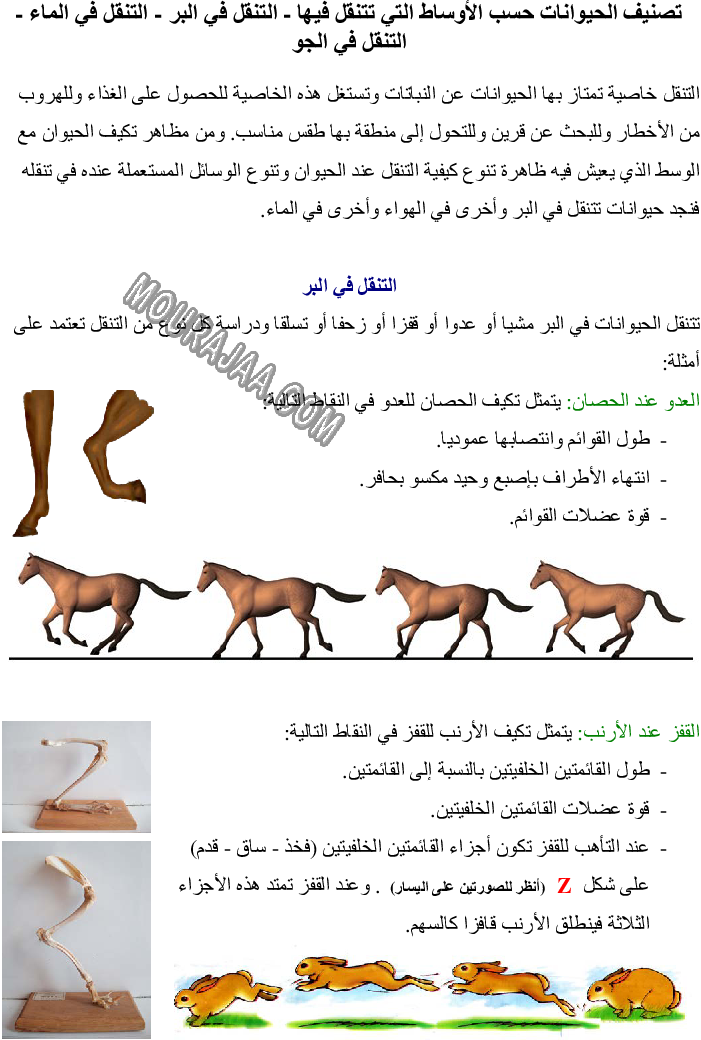 تصنيف الحيوانات حسب الأوساط التي تتنقل فيها - التنقل في البر - التنقل في الماء - التنقل في الجو صفحة 1