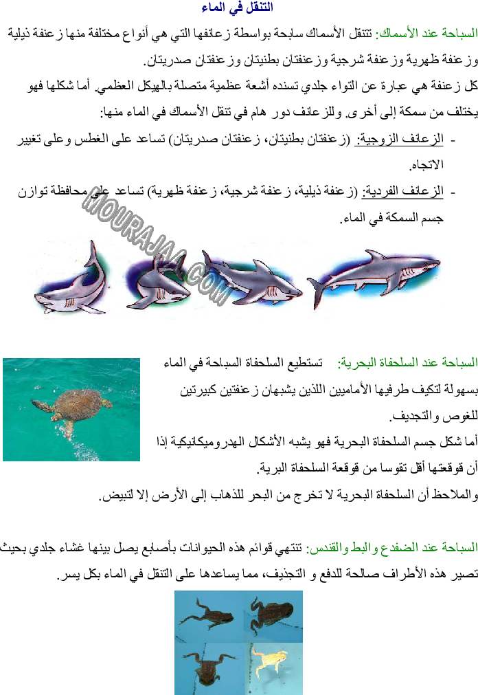 تصنيف الحيوانات حسب الأوساط التي تتنقل فيها - التنقل في البر - التنقل في الماء - التنقل في الجو صفحة 2