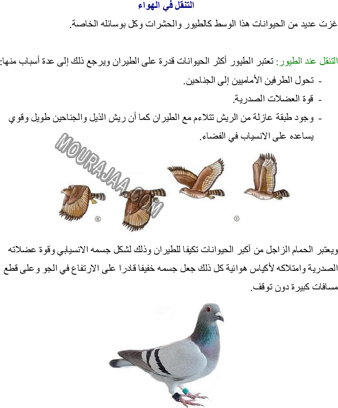 تصنيف الحيوانات حسب الأوساط التي تتنقل فيها - التنقل في البر - التنقل في الماء - التنقل في الجو صفحة 3