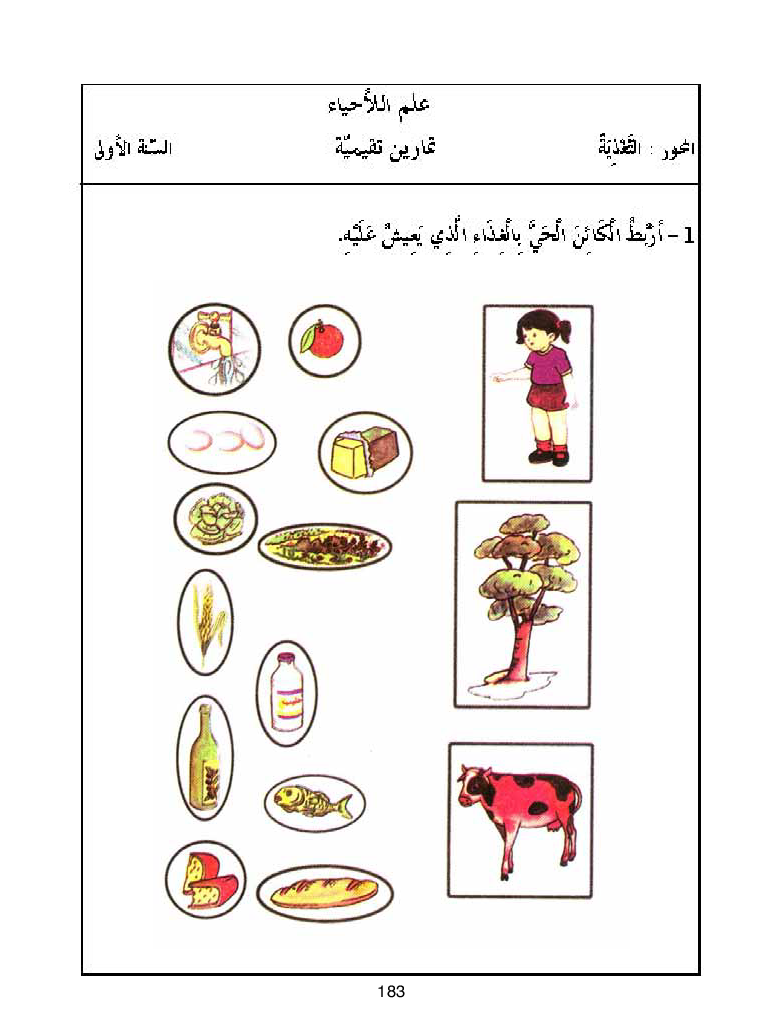 كتاب المعلم ايقاظ علمي سنة اولى